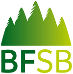 bracknell forest safeguarding board logo